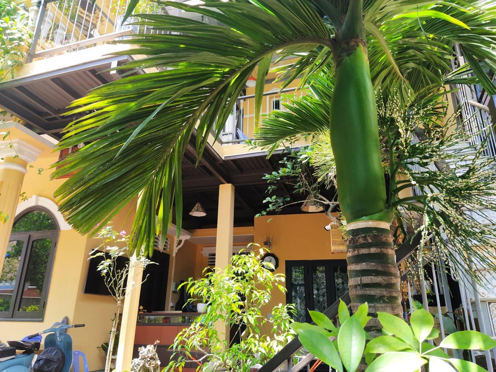 Q' Homestay Garden Villa Хюэ Экстерьер фото